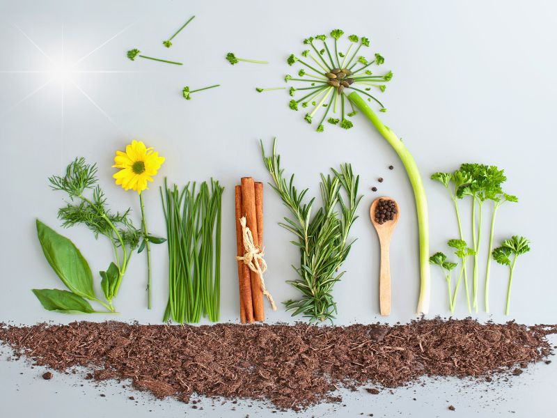 Plant party- You're invited!